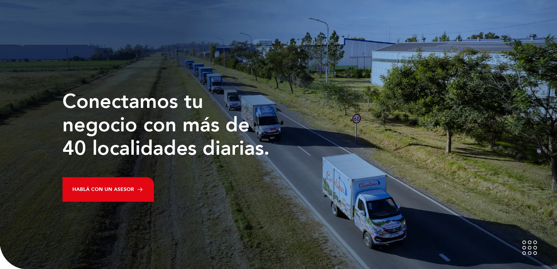 Rapiflet Carolina Rapiflet Carolina